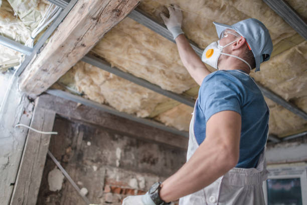 Best Eco-Friendly Insulation in Gladwin, MI